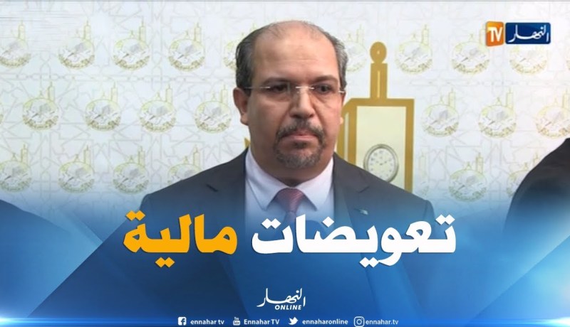 محمد عيسى: شركة “فلاي ناس ” للطيران قدمت تعويضات مالية للبعثة الجزائرية