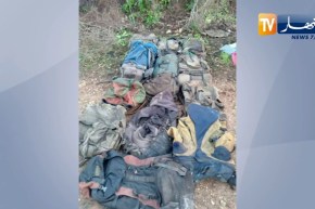 القضاء على إرهابيين إثنين في العنصر بـجيجل