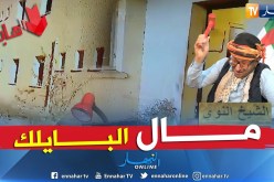 طالع هابط: مديرية الغابات ببلعباس..  مال بلا راعي