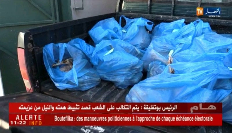 تيسمسيلت/ مصالح الدرك تحبط عملية تموين لحوم بيضاء فاسدة