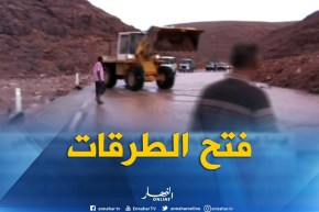 غرداية: تجنيد كل الإمكانيات لفتح الطرقات ونزع مخلفات الفيضانات بمتليلي