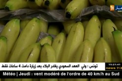 مديرية التجارة وقمع الغش لولاية الجزائر تكشف مستودع لإحتكار الموز