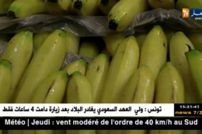 مديرية التجارة وقمع الغش لولاية الجزائر تكشف مستودع لإحتكار الموز