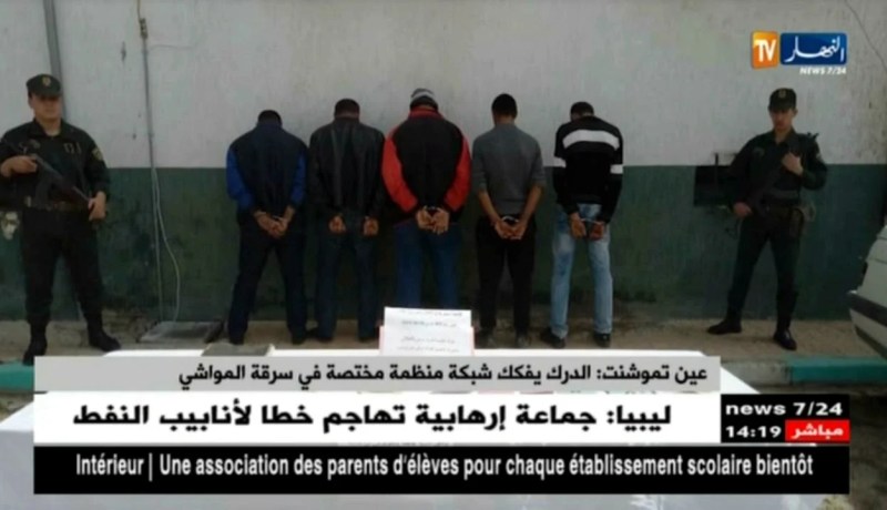 عين تيموشنت: الدرك يفكك شبكة منظمة مختصة في سرقة المواشي