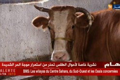 فلاحة/ “الحمى القلاعية”…هذه هي إجراءات الموالين لتجنبها !