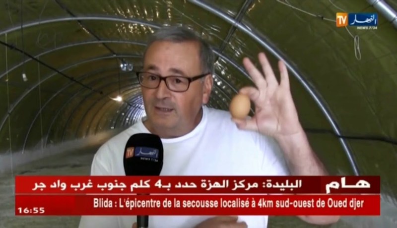 قسنطينة: فلاحون يعزلون نشاط تربية الدواجن بسبب الخسائر