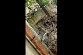 عنابة: النفايات الإستشفائية تغزو المستشفى الجامعي ابن رشد