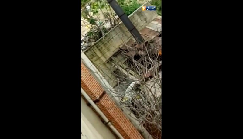 عنابة: النفايات الإستشفائية تغزو المستشفى الجامعي ابن رشد