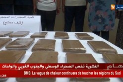 البليدة/ الدرك الوطني يضع حدا لعصابة تتاجر بالمخدرات ويلقي القبض على 13 شخص