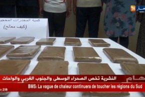 البليدة/ الدرك الوطني يضع حدا لعصابة تتاجر بالمخدرات ويلقي القبض على 13 شخص