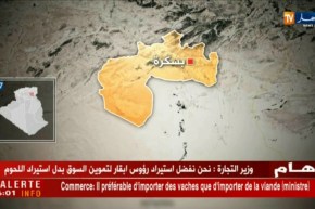 الجيش يدمر مخبأ  للإرهاب يحتوي على قنبلة تقليدية الصنع وكمية من الذخيرة  بباتنة