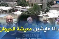 البليدة/ 85 عائلة تعيش بشركة مهجورة في حجور أشبه “بالحيوانات”