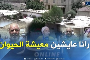 البليدة/ 85 عائلة تعيش بشركة مهجورة في حجور أشبه “بالحيوانات”
