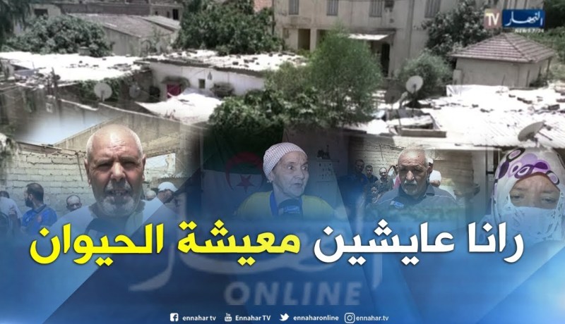 البليدة/ 85 عائلة تعيش بشركة مهجورة في حجور أشبه “بالحيوانات”