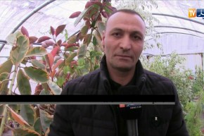 قالمة/ أصحاب المشاتل لزراعة بذور الأزهار ينتظرون الدعم