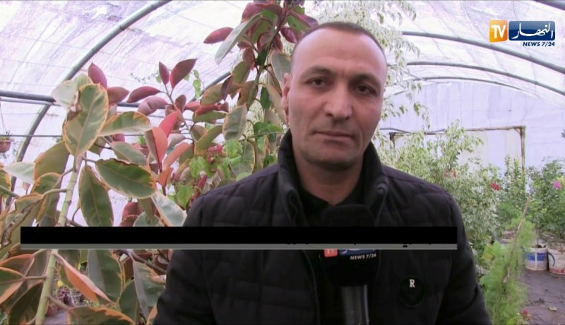 قالمة/ أصحاب المشاتل لزراعة بذور الأزهار ينتظرون الدعم