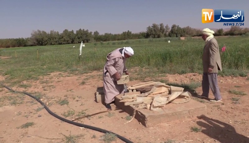 البيض: مياه الصرف الصحي  خطر بيئي وصحي يهدد نشاط الفلاحين بمنطقة الزريديب