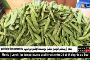 معسكر :عيد البزلاء…فائض في الإنتاج و سبل لإيجاد حلول مع المتعاملين الإقتصاديين