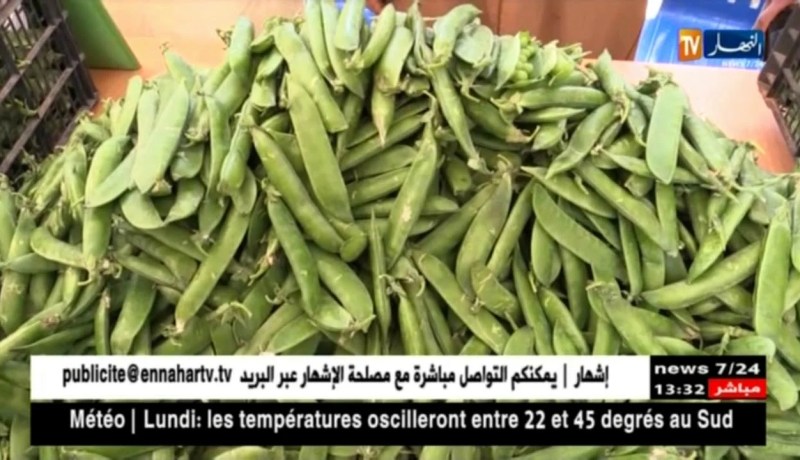 معسكر :عيد البزلاء…فائض في الإنتاج و سبل لإيجاد حلول مع المتعاملين الإقتصاديين