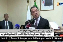 مراد زمالي: الكناباست تقدم روايات مغلوطة للأساتذة المضربين حول ألية الفصل