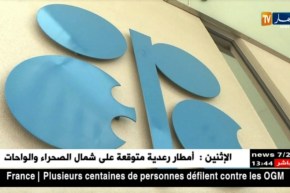 طاقة:سعر سلة خامات أوبيك ترتفع وتسجل76.75 دولار مقارنة بالسعر السابق