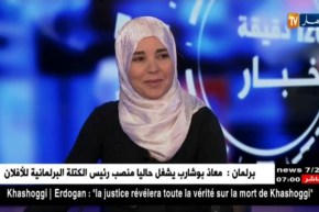 الشباب أكبر ضحايا المواقع الإباحية.. الأسباب والتداعيات !!؟