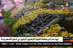 آراء التجار حول أسعار المخللات و المصبرات