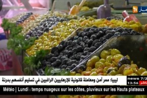 آراء التجار حول أسعار المخللات و المصبرات