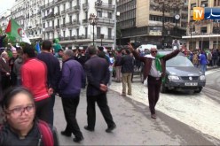 العاصمة: مسيرات حاشدة للجمعة الـ 11 للمطالبة بتغيير النظام