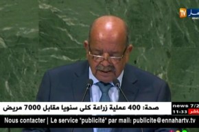 مساهل يجدد موقف الجزائر الرامي إلى حل سلمي للأزمات