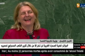 الأمم المتحدة : وزيرة خارجية النمسا تفتتح كلمة بلادها باللغة العربية