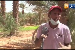 شاهد مواطن من قرية البركة أربعة بعين صالح يشتكي للسلطات الظروف المزرية التي تعيشها قريتهم