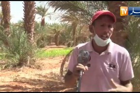 شاهد مواطن من قرية البركة أربعة بعين صالح يشتكي للسلطات الظروف المزرية التي تعيشها قريتهم