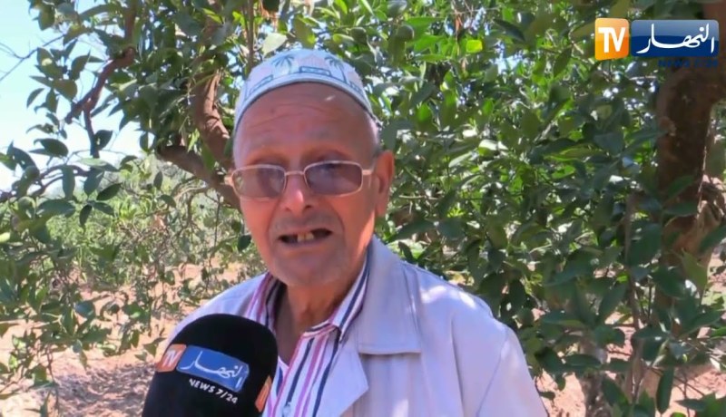 غليزان: عبد القادر.. فلاح سبعيني متشبث بخدمة أرض أجداده رغم العراقيل