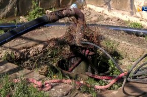 طالع هابط: شاهد الكارثة في سعيدة  ماء ملوث بمياه القاذورات