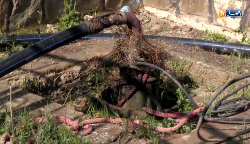 طالع هابط: شاهد الكارثة في سعيدة  ماء ملوث بمياه القاذورات