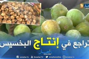 تيزي وزو: تراجع في إنتاج بخسيص آيت بووادو.. والسلطات المحلية تنظم عيدا خاصا به