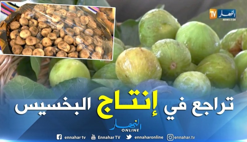 تيزي وزو: تراجع في إنتاج بخسيص آيت بووادو.. والسلطات المحلية تنظم عيدا خاصا به