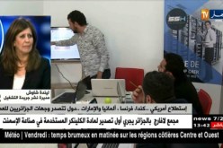 بوسطن للإستشارات الأمريكية.. 84 % من الشباب الجزائري يرغبون بالعمل في الخارج