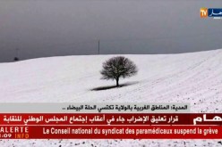المدية/ المناطق الغربية بالولاية تكتسي الحلة البيضاء..