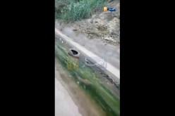 داء الكوليرا يهدد سكان حي واد أو شايح بسبب المياه القذرة !!
