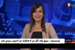 فن : سهرات موستا لاند بمستغانم تتواصل بحضور رضا سيتي 16 و الشاب بلال
