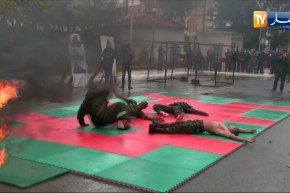 الشيخ النوي: أبناء الجزائر.. أسود تحرس البلاد