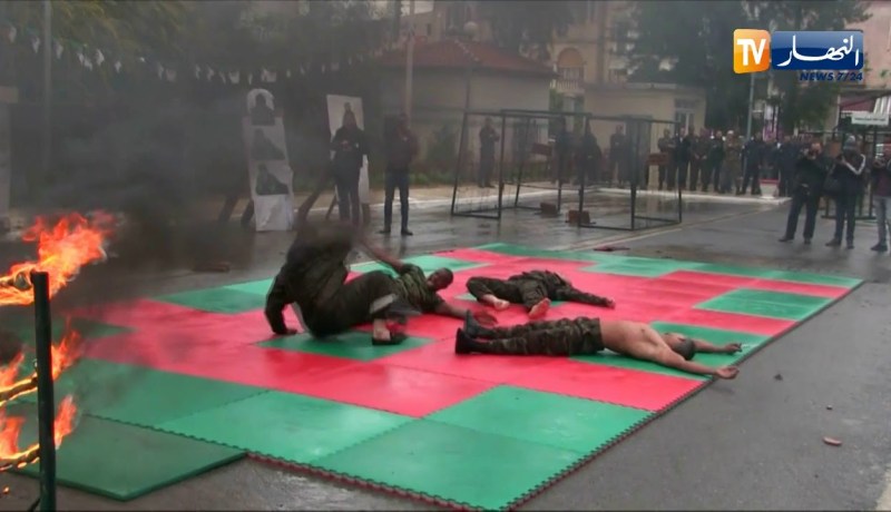 الشيخ النوي: أبناء الجزائر.. أسود تحرس البلاد