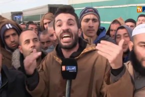 سطيف/ منتجو اللحوم الحمراء يشتكون من تراجع أسعار العجول المحلية