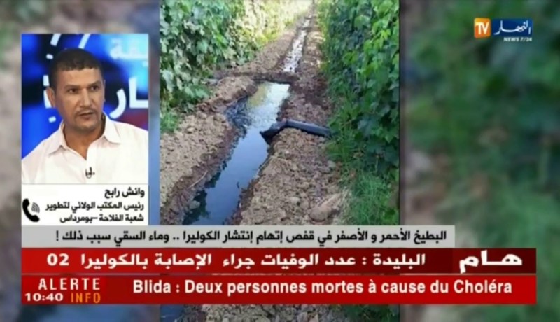 البطيخ الأحمر والأصفر في قفص إتهام إنتشار الكوليرا…وماء السقي سبب ذلك !!