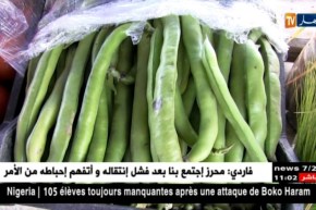 خنشلة : التأخّر في تسوية مشكل العقار الفلاحي يعيق تطور نشاط الفلاحين !