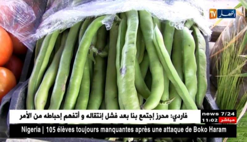 خنشلة : التأخّر في تسوية مشكل العقار الفلاحي يعيق تطور نشاط الفلاحين !