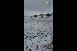 مدينة باتنة تتزين بالحلة البيضاء