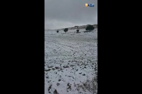 مدينة باتنة تتزين بالحلة البيضاء